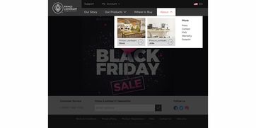 海外婴幼儿用品网站的设计与代理服务